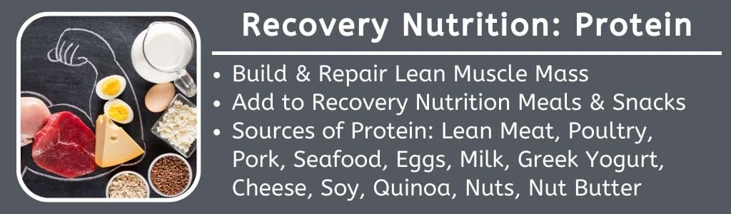 Recovery Nutrition Protein 