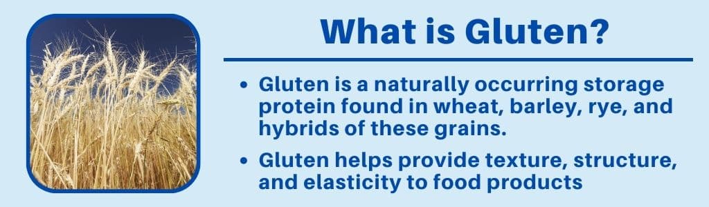 What is Gluten 