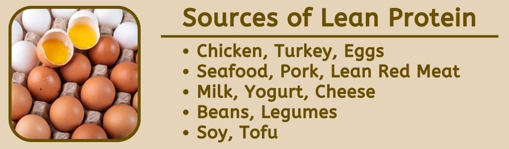 Sources of Lean Protein for Athlete Meal Plan 