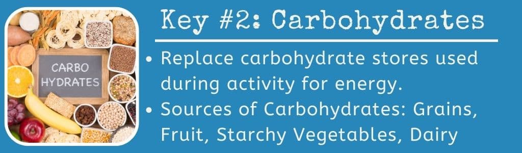 Vegetarian Sources of Carbohydrates Post Workout Meal