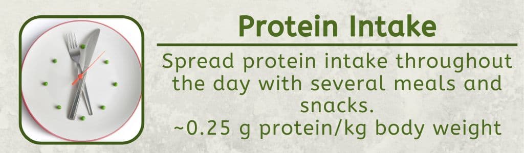 Athlete Vegan Protein Intake 