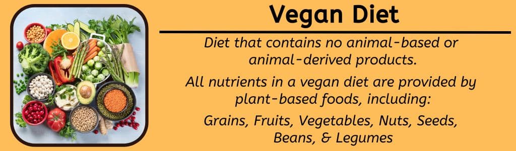 Vegan Diet 