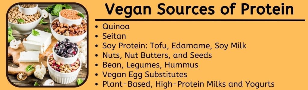 Sources végétaliennes de protéines
