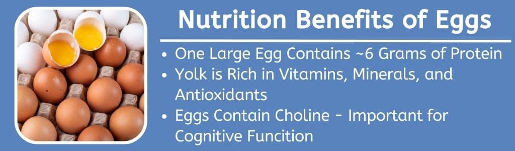 Nutrition Benefits of Eggs 