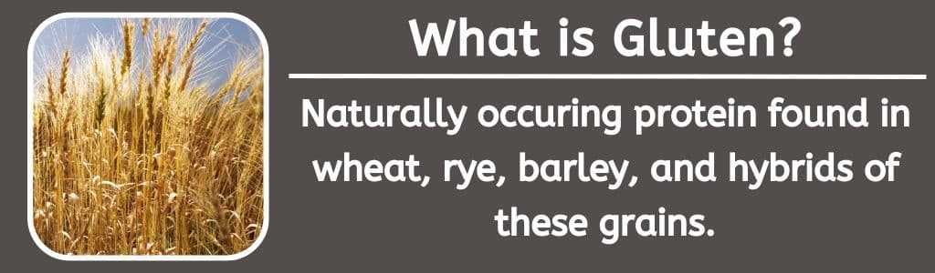 What is Gluten?