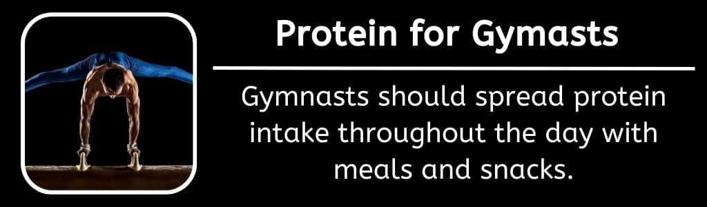 Protein for Gymnasts 