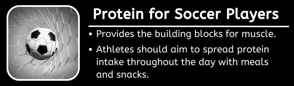 Soccer Player Diet Protein Needs 