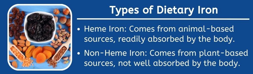 Types of Dietary Iron 
