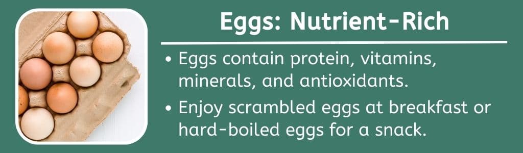 Eggs High Protein Food for Picky Eaters