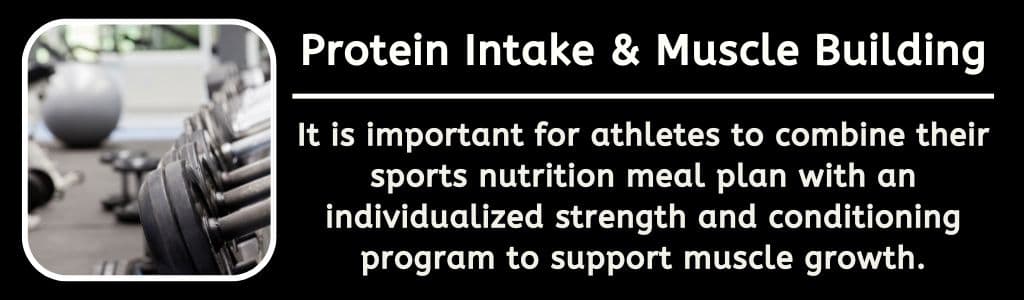 Protein Intake and Muscle Building 