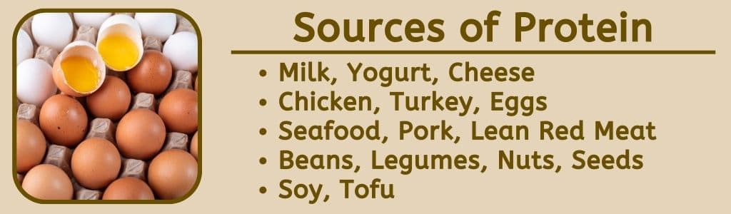 Sources of Protein for an Athlete Meal Plan: Milk, Yogurt, Cheese
Chicken, Turkey, Eggs
Seafood, Pork, Lean Red Meat
Beans, Legumes, Nuts, Seeds
Soy, Tofu