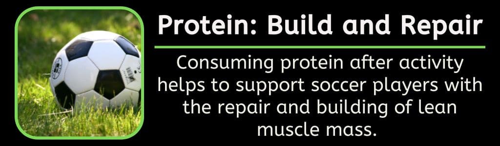 Protein Build and Repair After Soccer