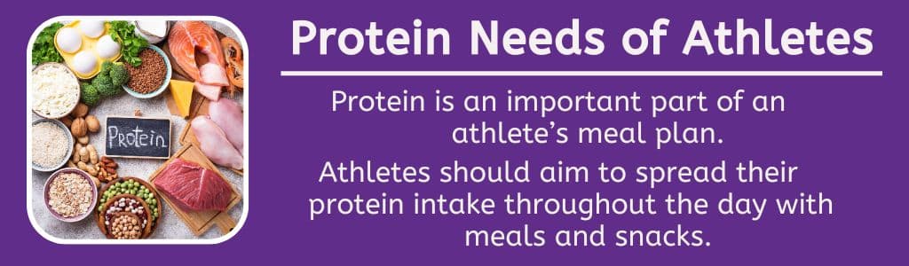 Protein Needs of Athletes