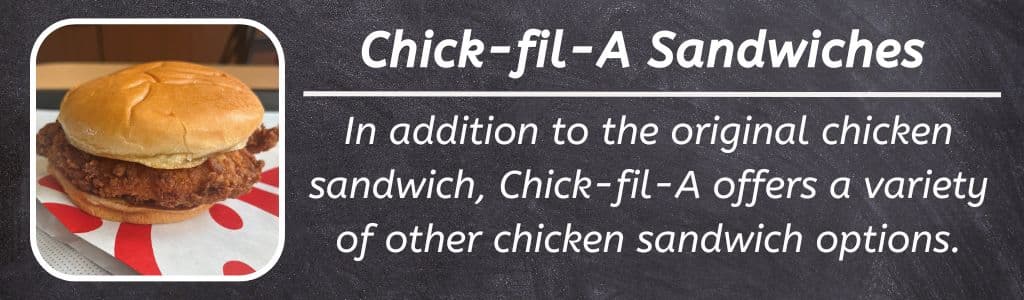Options de sandwich au poulet-fil-A