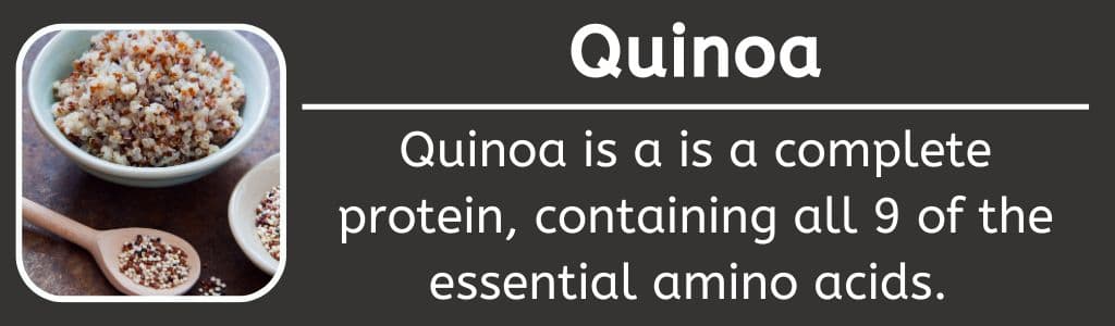 Quinoa Complete Protein 