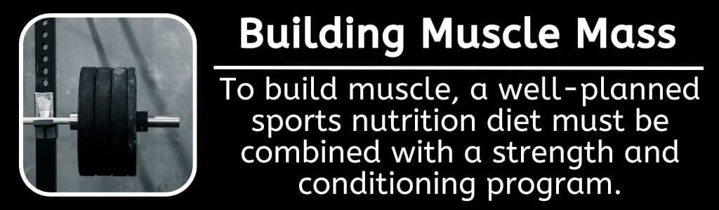 Nutrition for Football Building Muscle 