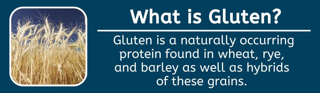 What is Gluten? Gluten is a naturally occurring protein found in wheat, rye, 
and barley as well as hybrids 
of these grains. 