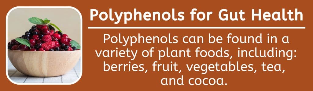 Polyphenols for Athletes Gut Health: Polyphenols can be found in a variety of plant foods, including: berries, fruit, vegetables, tea,
and cocoa.