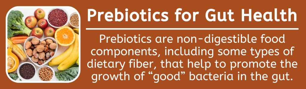 Prebiotics for Gut Health: Prebiotics are non-digestible food components, including some types of dietary fiber, that help to promote the growth of “good” bacteria in the gut.