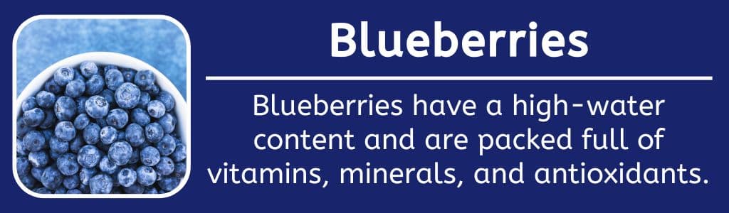 Blueberries Post Workout Recovery Food: Blueberries have a high-water content and are packed full of vitamins, minerals, and antioxidants.