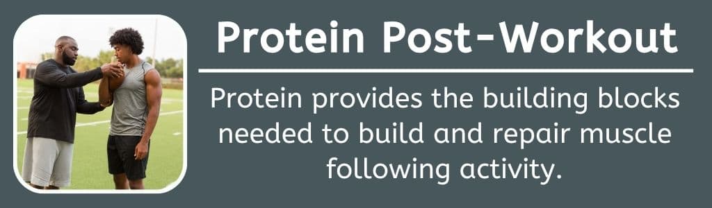 Protein Post Workout Snack: Protein provides the building blocks needed to build and repair muscle following activity.